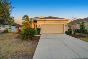 15692 Lemon Fish Dr, LAKEWOOD RANCH 15692 Lemon Fish Dr, LAKEWOOD RANCH