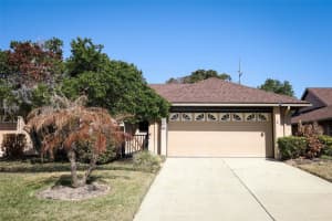 2021 Arbor Way, MOUNT DORA