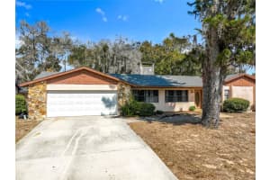1029 Michelle Ct, TAVARES