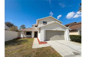 16116 Gardendale Dr, TAMPA