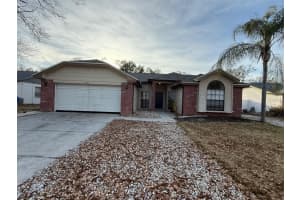 12111 Wildbrook Dr, RIVERVIEW
