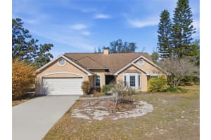 10225 Evening Trail Dr, RIVERVIEW