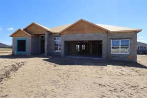 3177 Wolf Lake Ave, APOPKA