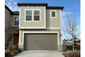 31865 Blue Passing Loop, WESLEY CHAPEL