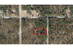 Sw Wisteria Ct, DUNNELLON