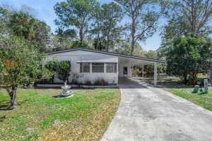 197 Palm Meadows Dr, EUSTIS