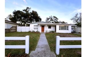 116 S Renellie Dr, TAMPA