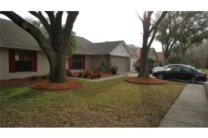 15005 Redcliff Dr, TAMPA