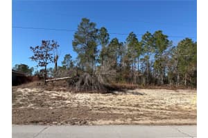 Sw 135th Street Road Lot 12, OCALA