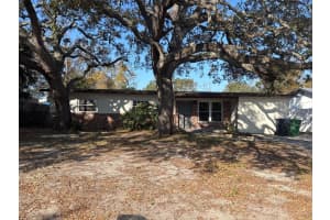 11114 N Dixon Ave, TAMPA