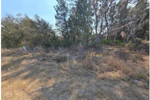 240 Elm Ct, POINCIANA