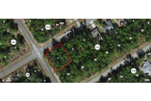 156 W Goldcoast Pl, CITRUS SPRINGS