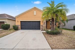 11755 Winterset Cove Dr, RIVERVIEW