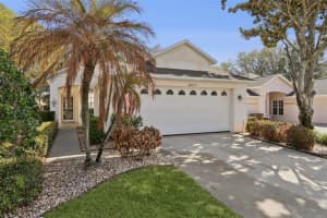 8002 Arcadian Ct, MOUNT DORA