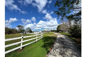 31243 Bear Pond Dr, SORRENTO 31243 Bear Pond Dr, SORRENTO