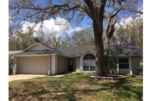 7919 Goldleaf St, ORLANDO