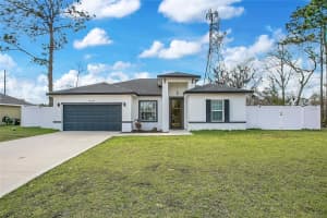 16210 Sw 59th Avenue Rd, OCALA