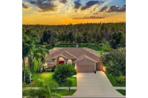 18408 Bittern Ave, LUTZ