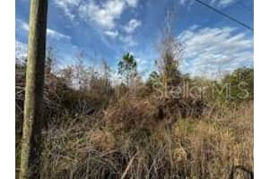 4125 Quail Nest Ln, NEW SMYRNA BEACH