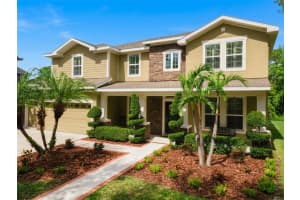 15940 Ternglade Dr, LITHIA
