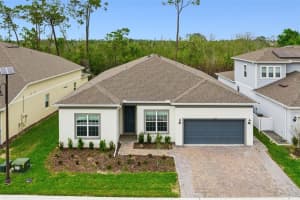 2502 Alligator Flag Ct, CLERMONT