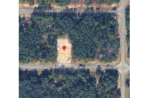7397 Sw 145th Place Rd, OCALA
