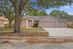 4004 Water Park Ct, RIVERVIEW