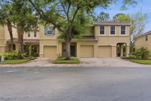 9333 Stone River Pl #n/a, RIVERVIEW