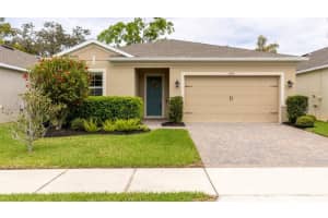 1968 Ibis Bay Ct, OCOEE