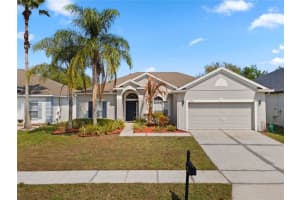 17811 Olive Oak Way, ORLANDO
