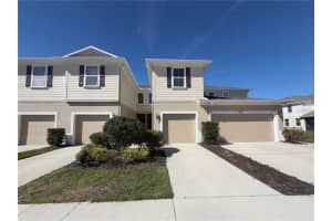 10844 Verawood Dr, RIVERVIEW 10844 Verawood Dr, RIVERVIEW