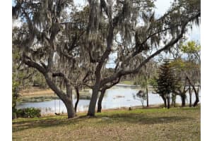 17549 Seidner Rd, WINTER GARDEN