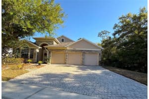 12005 Summerspring Lakes Dr, ORLANDO