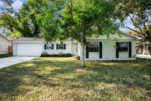 1027 Pinegrove Dr, BRANDON