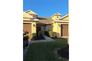 8520 Broken Willow Ct, TAMPA