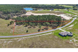 38514 Wooded Meadow Dr, UMATILLA