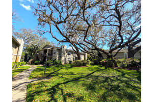 14211 Shadow Moss Ln #202, TAMPA 14211 Shadow Moss Ln #202, TAMPA