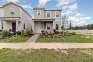 16758 Hamlin Vista Aly, WINTER GARDEN