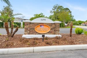 2451 Citrus Tree Rd, CLERMONT