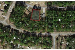 3386 W Talinum Pl, CITRUS SPRINGS