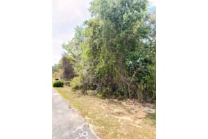 Sw 21 Ct, OCALA Sw 21 Ct, OCALA