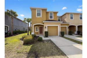 7070 Woodchase Glen Dr, RIVERVIEW