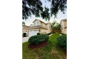 6517 Spring Oak Ct, TAMPA
