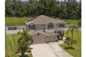 1509 Spinfisher Dr, APOPKA