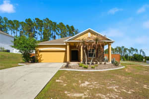 202 Colonial Pine Ln, MINNEOLA