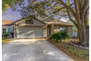 11340 Calgary Cir, TAMPA 11340 Calgary Cir, TAMPA