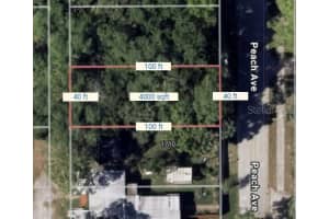 Peach Ave, SANFORD Peach Ave, SANFORD