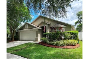 809 Straw Lake Dr, BRANDON