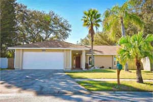 6506 Seafairer Dr, TAMPA