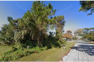 1328 Umbrella Tree Dr, EDGEWATER